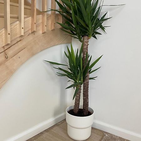 L Appartement Sete Magnifique Duplex Climatise エクステリア 写真